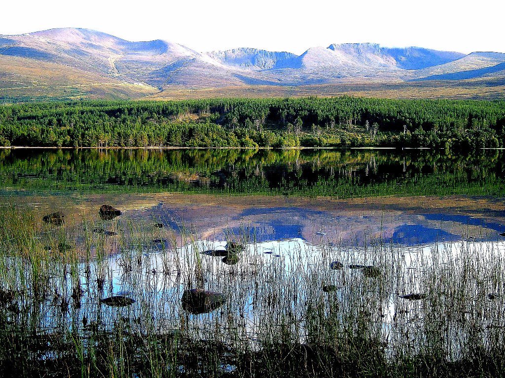 Image of Loch Morlich