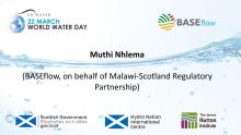 Muthi Nhlema (BASEflow)
